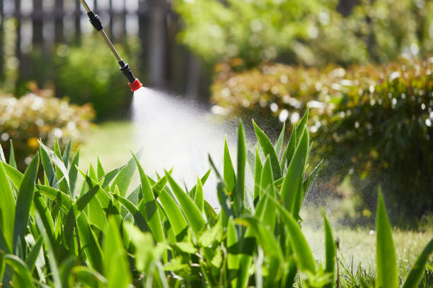 24/7 Emergency Termite Control experts in Stanwood, WA