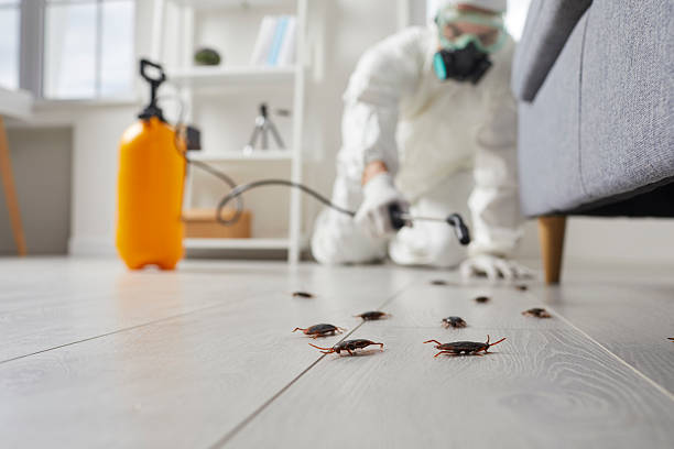 Trusted Rodent Control service in Stanwood, WA - Nex Pest Control