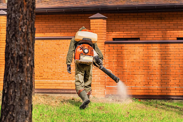 Trusted Emergency Pest Control service in Stanwood, WA - Nex Pest Control